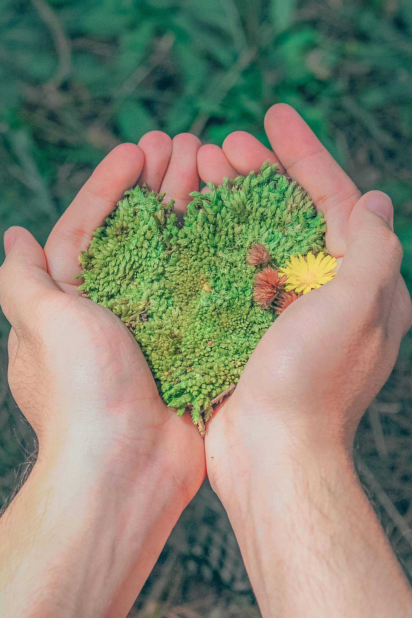 EFT bei Angst und Panikattacken